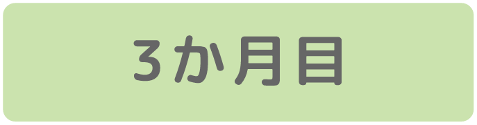 3か月目